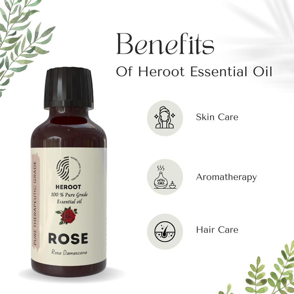 Rose 100% Pure Essential Oil Natural Therapeutic Grade Aromatherapy