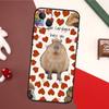 Funny Capybara Case For iPhone 16 Pro Max 14 13 12 11 15 17 Pro Max mini 15 16 Plus 16e 17 Air Back Cover