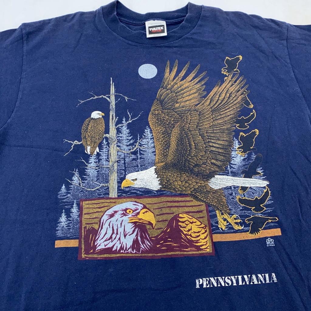 Винтажная футболка 90-х PENNSYLVANIA BALD EAGLE NATURE РАЗМЕР L/XL дикое животное мягкая