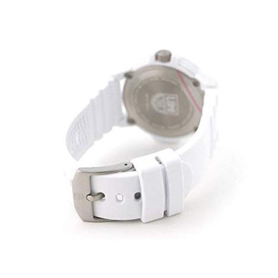 Luminox Часы Кожаная задняя крышка Морская черепаха Серия 0300 [Luminox] 0307.WO Мужские