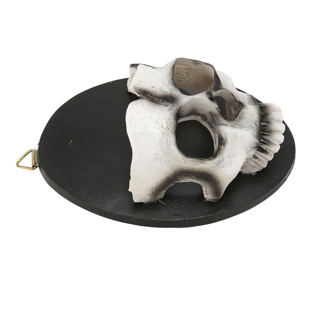 Настенный подсвечник в виде черепа, прочная смола, богатые детали, подвесной крюк, подсвечник-скелет для украшения вечеринки