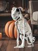 Halloween Dog Skeleton Decoration Spooky Skeleton Animal Puppy Bones Skeleton Decoration for Halloween Indoor Outdoor