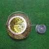 Кованая солнечная лампа для декора уличного двора и газона - Ручной полый проекционный дизайн