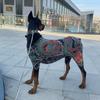 Стильный комбинезон с принтом питомцев и татуировками, 4 лапы, для собаки, кошки, модная одежда, крутая облегающая одежда, товары для животных
