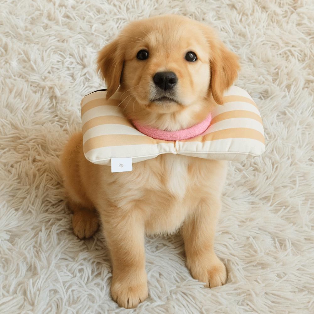 Fish Shape Cat Protective Collar Soft Dog Neck Cone Comfortable Cat Recovery Collar For Puppy Dog