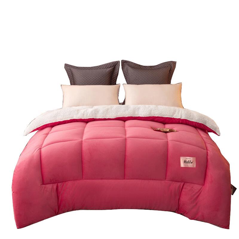 LISM Double-Sided Lamb & Milk Velvet Quilt