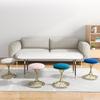Nordic Portable Velvet Metal Vanity Stool Dinning Chair Modern Living Room Furniture Chairs Makeup Chairs Hall Shoes
