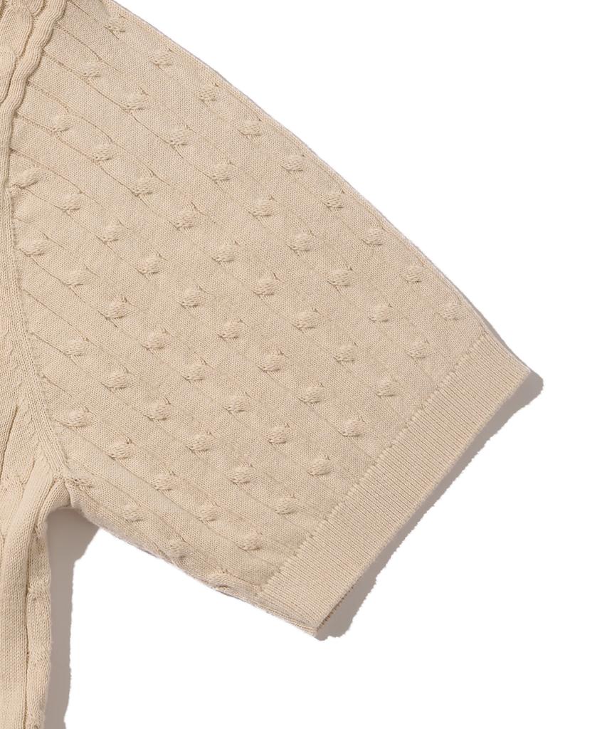 ANALOG MOOD Cable Open Collar Short Sleeve Knit (Beige)