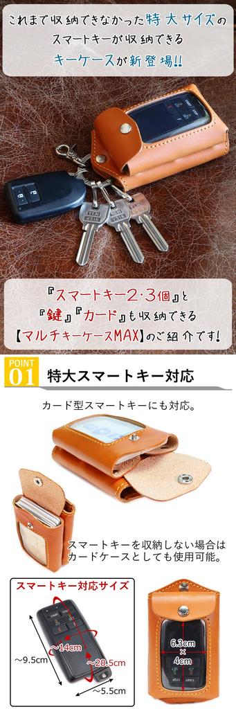 Ricky's Multi-Key Case MAX Smart Key Storage, 2 Pockets Storage, 3 Storage Case, Compatible