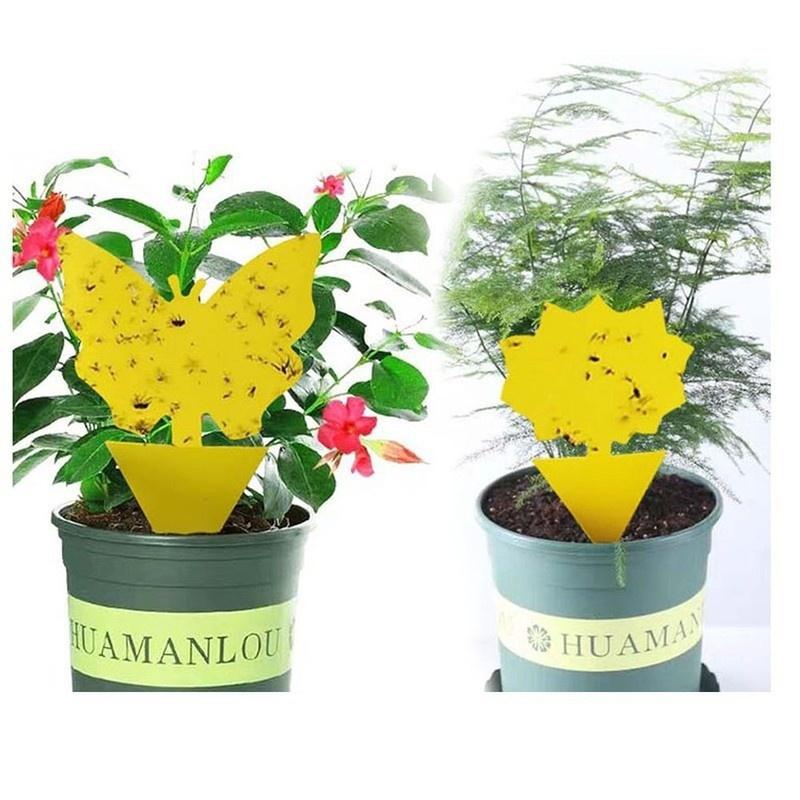 Новая липкая ловушка для фруктовых комаров, желтых липких ловушек для насекомых, ловушек для насекомых-вредителей, ловушек для насекомых