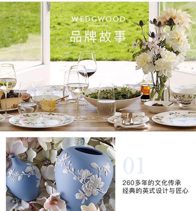 WEDGWOOD GIO BLUE Blues Geometry Mug Gift Box Water Cup
