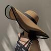 Big Brim Face Covering Hat Temperament Organza Bucket Hat Women's Summer Thin Sunshade Sunscreen Korean Version Japanese Straw Hat
