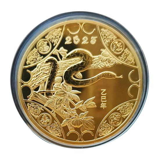 2025 Snake Commemorative Coin Chinese New Year Collectible Iron Coin Year of The Snake Badge Coin for Wealth And Good Luck