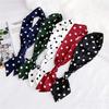 New Polka Dot Small Scarves Women'S Spring Styles Fashionable And Versatile Autumn And Winter Long Bags Wrist Scarves Decoration