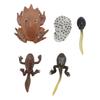 Animal Figure Toys PVC Compact Realistic Children Cognitive Growth Cycle Animal Model Frog Toy for H