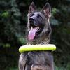 Dog Toy Lightweight Floating Pet Chew Toy Bite-resistant Interactive Dog Training Ring for Outdoor