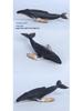 Cross-Border Marine Life Model Toy: Gray Whale, Orca, Humpback, Narwhal, Great White Shark