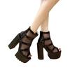 Fashion High Heeled Sandals Women 2024 Summer Thick Heel Mesh Yarn Design Boots for  Waterproof Platform Shoes Hollow Roman