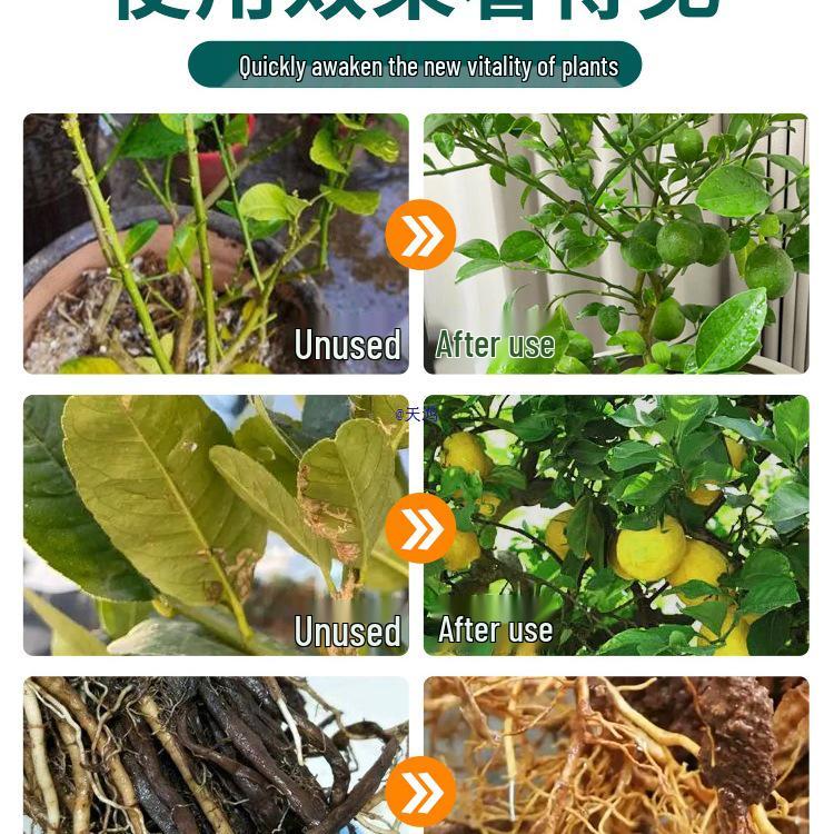 Питательный раствор без разбавления для любящих кислую почву бонсай и зеленых растений