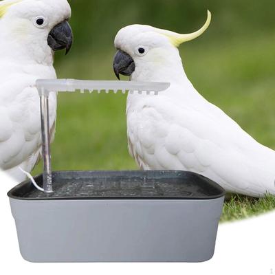 Купальня для попугаев, USB-душ для птиц