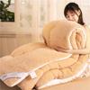 Blanket Bedspread Warm Winter Blanket Thickened Lamb Wool Winter Quilt Double Quilt Warm Quilt Student Dormitory Quilt Double Quilt