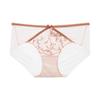 Anlifang Embroidered Mesh Mid-Low Waist Briefs