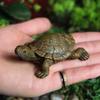 Resin Simulation Small Turtle Craft Micro Landscape Gardening Balcony Flower Pot Decoration Succulent Jewelry Home Decoration