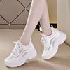 Dad Shoes Women's Ins Fashionable Shoes Thick Bottom Elevator Wild New Spring Height Increasing Insole Casual Sports White Shoes