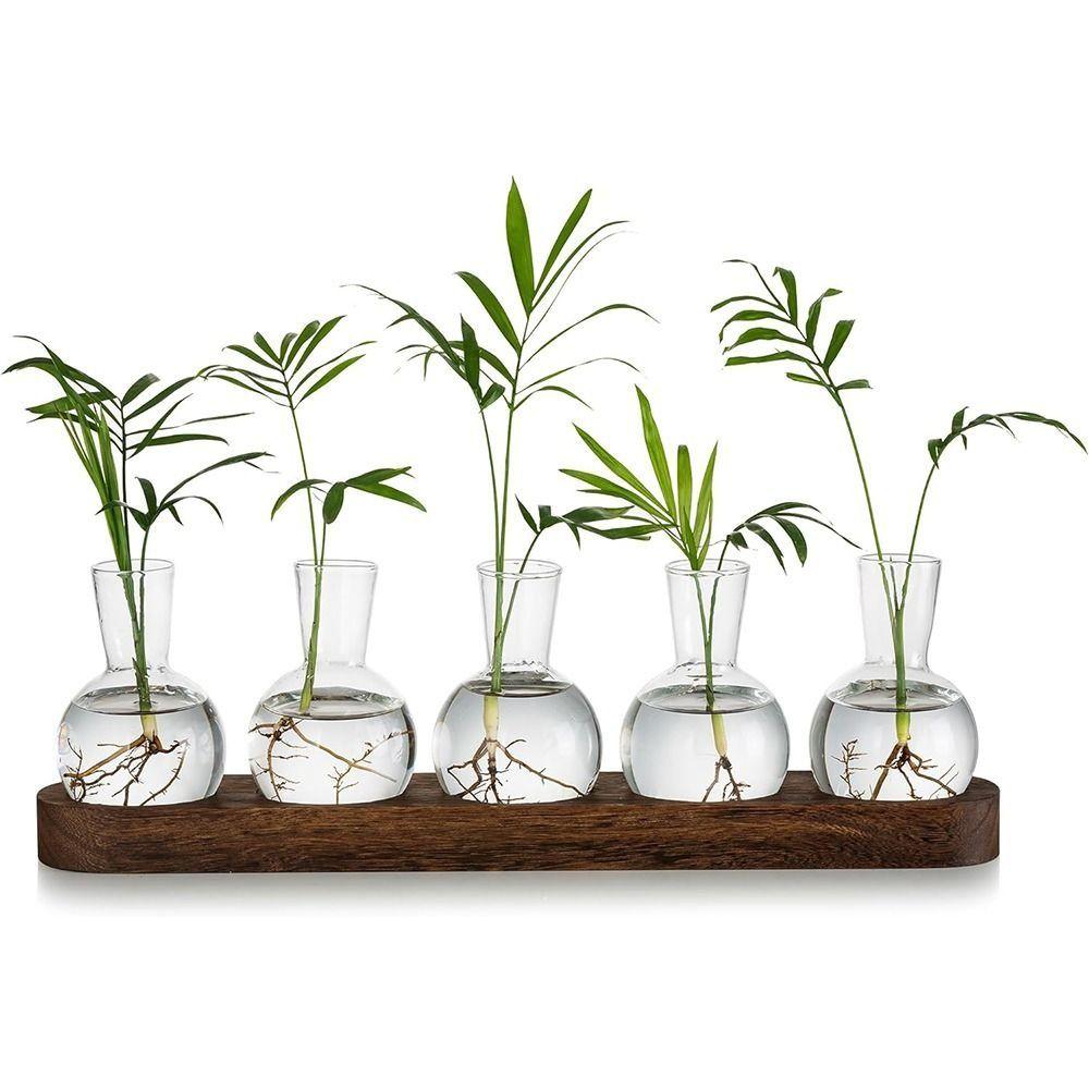 with Wooden Tray Hydroponics Glass Vase Bud Vases Bulb Vase  Home Decoration