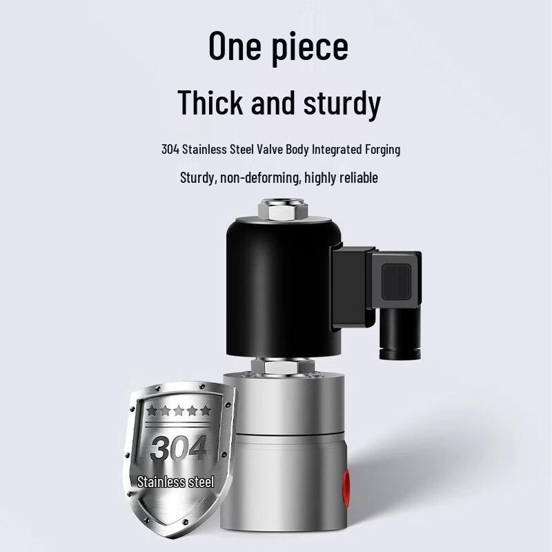 Yundu DN4-6 High-Pressure Explosion-Proof Solenoid Valve