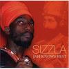 CD SIZZLA - Jah Knows Best 06076899212 Sanctuary Recor 2004 US Reggae, Ska & Dub Used