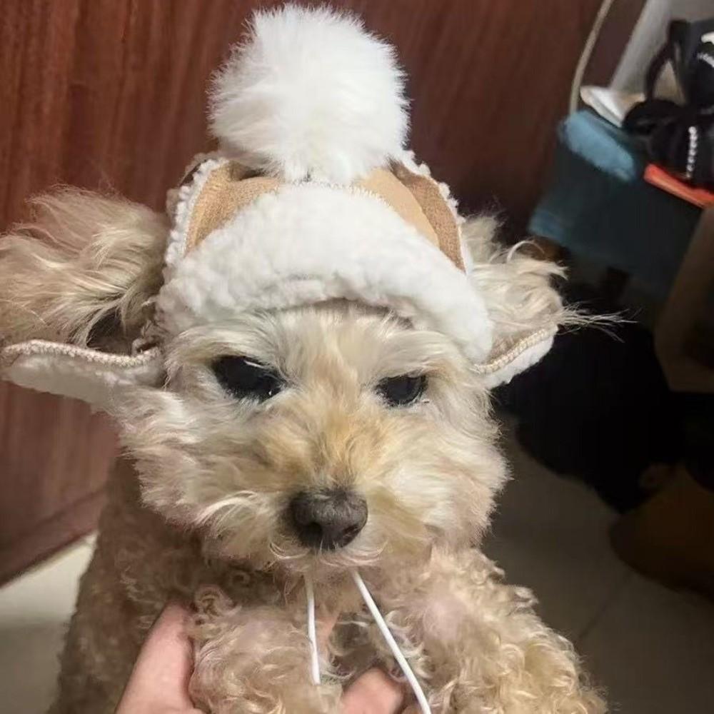 Fashion Warm Cat Flying Hat Windproof with Ear Hole Fluffy Dog Hat Lamb Fur Pet Headwear Photograph