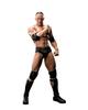 TAMASHII NATIONS WWE The Approximately 160mm PVC ABS Action Figure S.H.Figuarts Rock, &