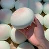 1 шт. Мягкие игрушки для снятия стресса, медленно поднимающиеся, сенсорные, имитация хлеба, сжимаемая игрушка для снятия тревожности, СДВГ, аутизма, подарки
