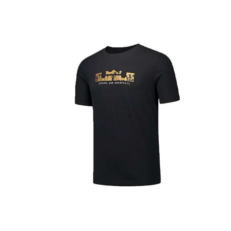 Nike Мужская баскетбольная футболка Dri-FIT LeBron Черная DB6179-011