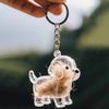2/5Pcs Pet Hair Storage Box Keychain Portable Pet Memory Holder Secret Fur