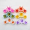 Bauhinia Flower Hair Claw Clip Acrylic Hair Clip 2024 Headwear  Hawaiian Hair Accessory