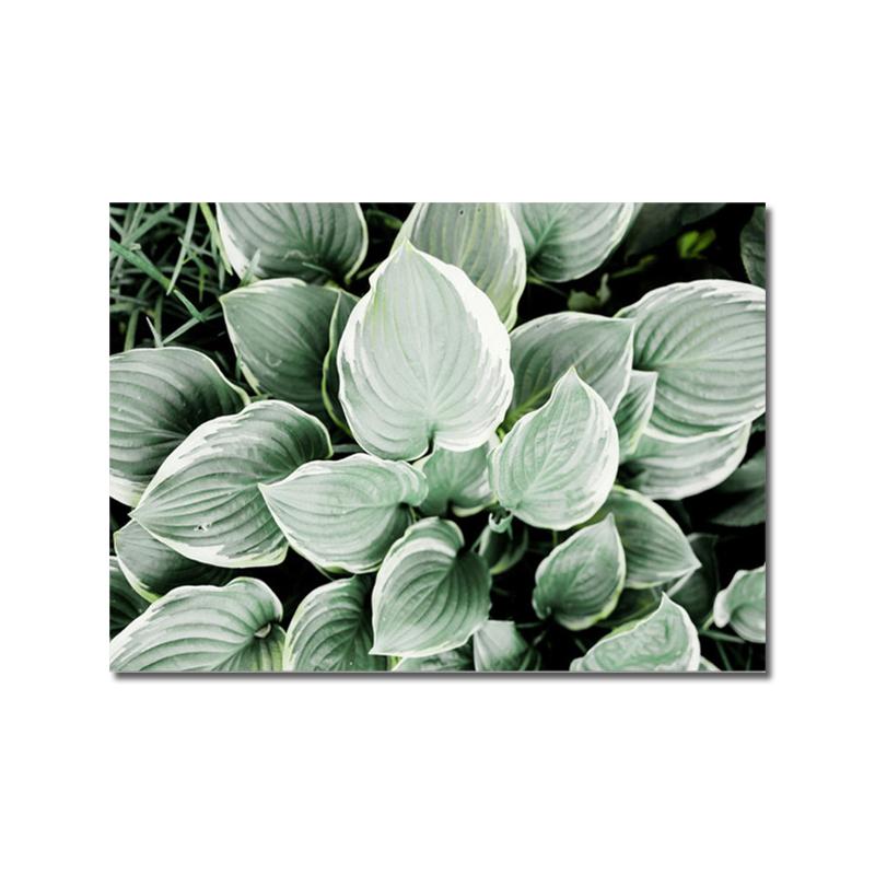 Зеленое растение, лист, цветы, плакат с принтом, акварель Монстера, настенная живопись на холсте, цитаты, настенные панно для декора гостиной