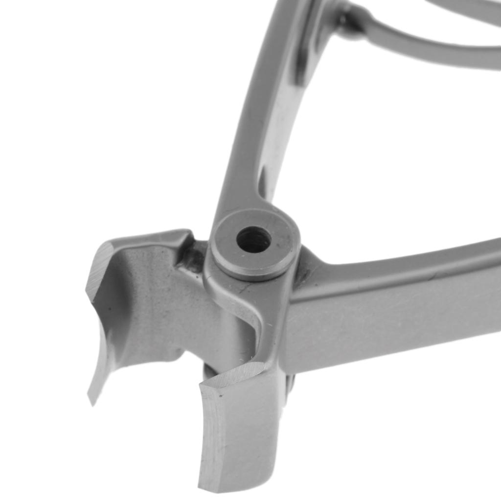 Professional Toe Nail Clipper Stainless Steel Manicure Scissor Durable Nail Cutter for Healthy Nails