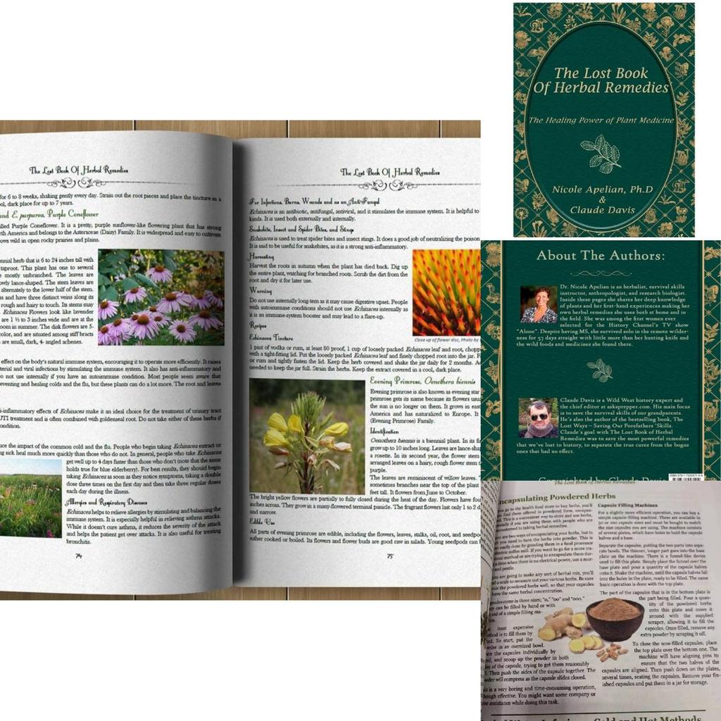 Утерянная книга травяных средств Полное руководство по натуральным лечебным решениям