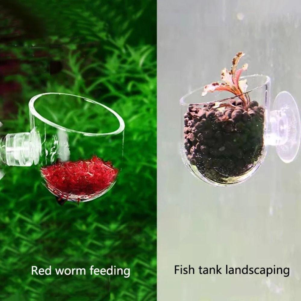 Plastic Aquarium Red Worm Feeding Tapered Hopper Basket Fish Tank Cone Accessories Conical Feeder
