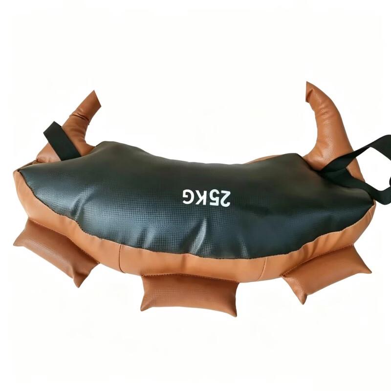 Bulgarian Bag Weighted Sandbag