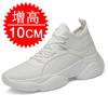 Inner Heightening Dad Shoes 10CM Men's Shoes Spring Sports Shoes Little White Shoes Heightening Shoes 8 Women's Shoes Casual Board Shoes 6