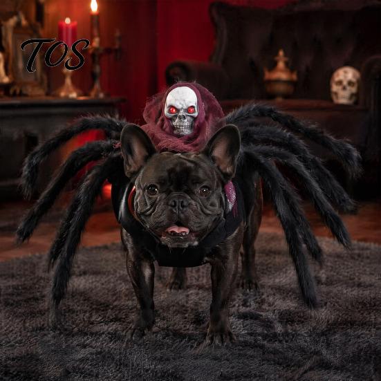 Universal Size Spider Outfit for Dogs Pet Costume, Halloween Cat with Skull Face, Black Holiday Costumes Social Media Photos Apparel Cats Cosplay