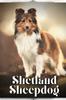 Книга Shetland Sheepdog : Dog Breed Overview and Guide