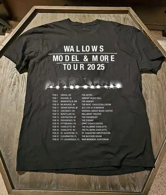 Wallows Band Tour 2025 Gift For Fans S To 5XL Black Unisex Tshirt K531