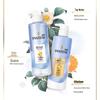 Pantene Micellar Purify & Energize Silicone-Free Shampoo