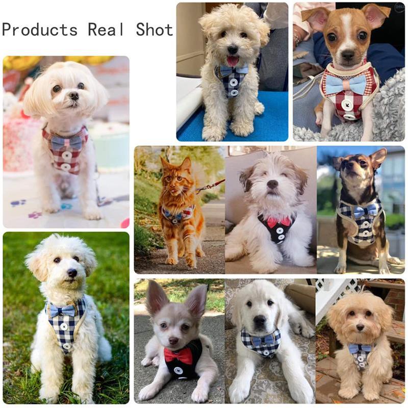 Регулируемая шлейка для собак, комплект поводков, сетчатый дышащий шлейка для кошек, жилет для маленьких и средних собак, кошек, аксессуары для прогулок и бега для кошек