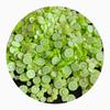 Bulk 500g/Lot 5MM/10MM Green Lemon Polymer Clay Slice Beads Summer Theme Hot Clay Fruit Sprinkles for Nail Art Jewelry Making