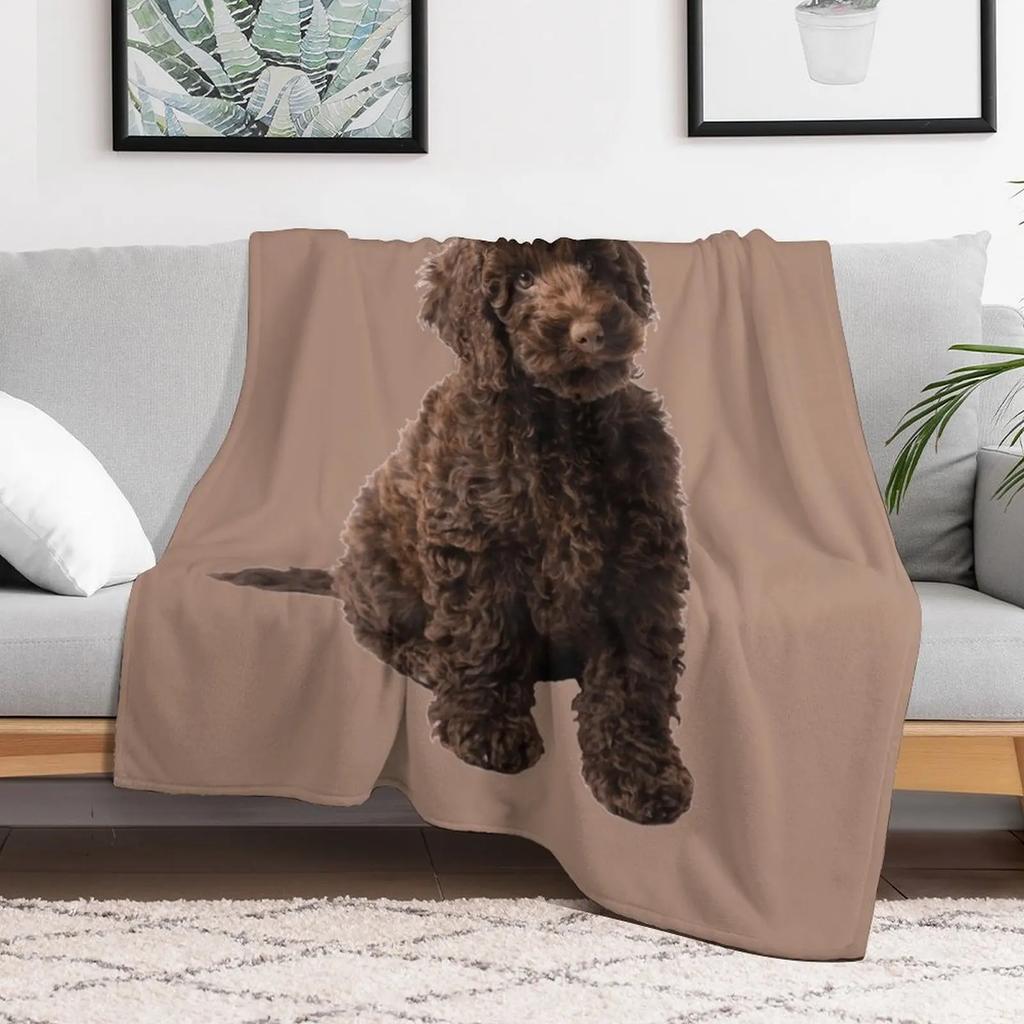 Labradoodle Throw Blanket Warm Plush Fuzzy Blanket for Living Room